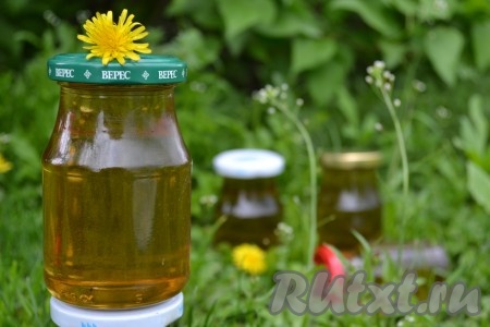 Мед из одуванчиков