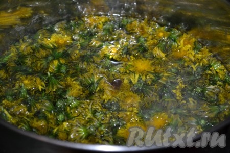 Цветки одуванчика выложить в кастрюлю, залить водой и поставить на максимальный огонь, когда жидкость закипит, уменьшить огонь до минимума и варить ещё 15 минут.
