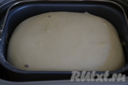 Готовое тесто должно хорошо подойти. Ещё раз хлебопечка его обомнёт и можно либо в хлебопечке выпекать сладкий хлеб, либо достать тесто из ведёрка и испечь из него всё, что пожелает душа.
