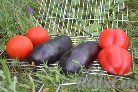 Помидоры, болгарский перец, баклажаны помыть и выложить на решетку.
