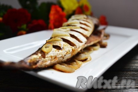 Скумбрия, запеченная с луком в духовке, получается изумительно вкусной. Можно подавать на стол.
