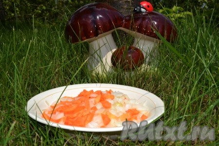 Лук нарезать мелкими кубиками, а морковь - соломкой среднего размера.
