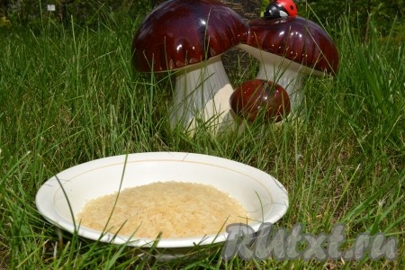 Рис необходимо промыть в нескольких водах. Вода после последнего сливания должна быть прозрачной. 