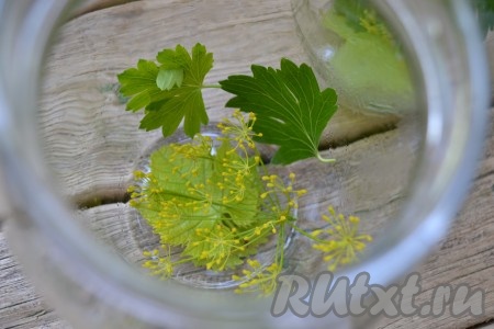 В сухие простерилизованные банки уложить на дно зонтики укропа, промытые листья&nbsp;смородины и винограда.
