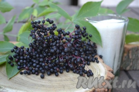 Ягоды моем, смывая пыль. 