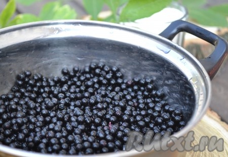 Спелые ягоды бузины складываем в кастрюлю.
