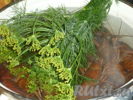 Когда вода снова закипит, добавить в кастрюлю вымытый укроп и лавровый лист. 