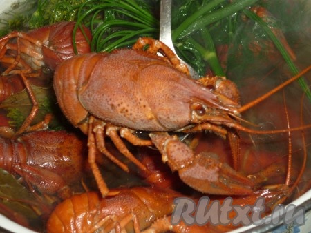 Варить до готовности на небольшом огне в течение 10 минут. Затем кастрюлю снять с огня, накрыть крышкой и дать ракам постоять в воде, в которой они варились, в течение 10-15 минут. За это время они вберут&nbsp;в себя нужное количество соли и станут очень сочными. После варки их цвет поменяется на ярко-красный.
