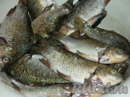 Карасей вымыть, очистить от чешуи и выпотрошить. Ещё раз хорошо вымыть под холодной проточной водой, так как рыба речная. Если карась не очень крупный, голову отрезать не нужно, она и так прожарится, а если большой, то голову отрезаем обязательно и делаем надрезы вдоль реберных костей.&nbsp;Рыбу посолить и оставить на 10 минут.&nbsp;
