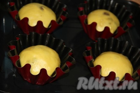 Дрожжевое тесто увеличится в объёме. Поставить формы с тестом в разогретую до 180 градусов духовку и выпекать булочки с изюмом примерно 30-40 минут. Время готовки зависит от размера форм.&nbsp;
