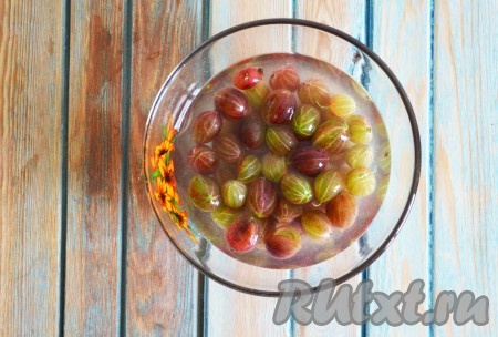 Заливаем холодной водой подготовленный крыжовник и оставляем на 15 минут. 