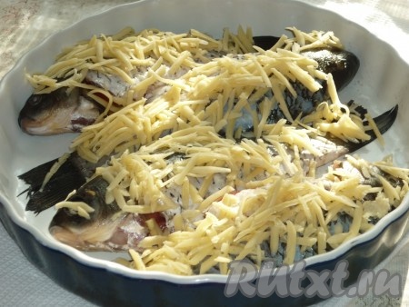 Сыр натереть на терке и выложить поверх рыбы. 