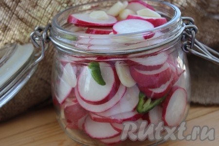 Соединить нарезанный редис, чеснок и острый перец, хорошо перемешать и поместить в чистую сухую банку подходящего размера (я использовала банку ёмкостью 750 миллилитров).