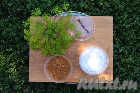 Добавляем также соль и приправы. 