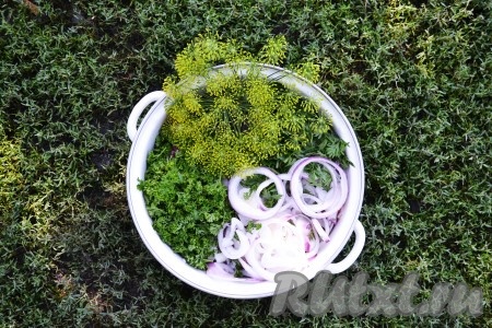 Нарезаем мелко петрушку и ботву моркови, лук - кольцами и, вместе с зонтиками укропа, отправляем в кастрюлю с мясом.