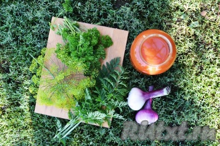 Моем петрушку, веточки моркови и зонтики укропа. Зелень можно варьировать по своему вкусу - что-то заменить или убрать, или добавить (например, базилик и веточку розмарина). Очищаем и моем лук. Помидоры перемалываем мясорубкой или перетираем с помощью блендера.