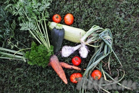 Подготовим все необходимые ингредиенты для приготовления икры из цукини.
