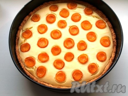 Разделить абрикосы на 2 половинки и разложить на творожную начинку срезом вверх. Выпекать песочный пирог с творогом и абрикосами в разогретой духовке при температуре 180 градусов 50-55 минут.
