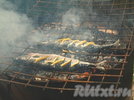 Затем рыбу перевернуть и запечь с другой.
