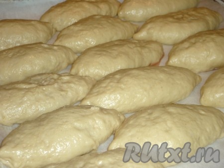 Выложить пирожки на противень, застеленный пергаментом, швом вниз. Дать постоять в тёплом месте минут 10. Затем смазать взбитым белком с помощью силиконовой кисточки и отправить в разогретую до 180 градусов духовку.&nbsp;
