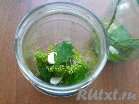 На дно чисто вымытых банок поместить по зонтику укропа, чеснок, лист дуба.