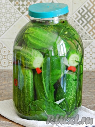 Прикрыть банку крышкой (не закрывать плотно) и оставить на 4-5 часов при комнатной температуре. Затем закрыть и убрать в холодильник. Примерно через сутки огурцы достаточно просолятся и будут готовы к употреблению. Малосольные огурчики, приготовленные с листьями хрена, получаются ароматными, хрустящими и очень вкусными.
