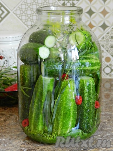 Затем плотно уложить огурцы в банку. Добавить колечки красного перца. Сверху положить еще укроп и чеснок.