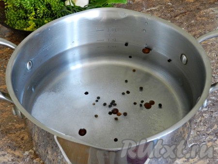 Приготовить рассол. Для этого налить в кастрюлю 1,5 литра воды, добавить соль, черный и душистый перцы. Поставить на огонь и довести до кипения.
