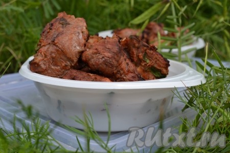 Нежный, сочный, изумительно вкусный шашлык из свинины, маринованный в луке, подаем на стол горячим.
