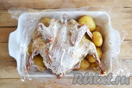 Смазываем обильно курочку и еще на 10 минут отправляем в духовку уже без рукава, чтобы запеклась и приятно хрустела корочка.