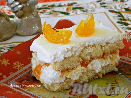 Нежный, вкусный тирамису, приготовленный с маскарпоне и сливками, украсить дольками мандарина и подать к столу.