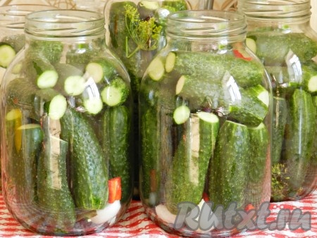 Разложить по банкам огурцы.