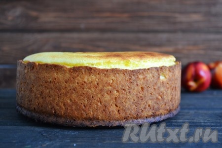 На фото готовый творожный пирог с нектаринами. Перед подачей он должен постоять, как минимум, 20 минут. Его можно и в таком виде подать на стол, а я решила украсить его конфитюром.
