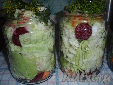 Банки простерилизовать привычным способом. На дно каждой баночки поместить кусочки моркови и свеклы, зубчики чеснока. Очень плотно уложить куски капусты, можно даже с горкой, так как капуста сочная и после заливки осядет. Сверху разместить зонтики укропа.
