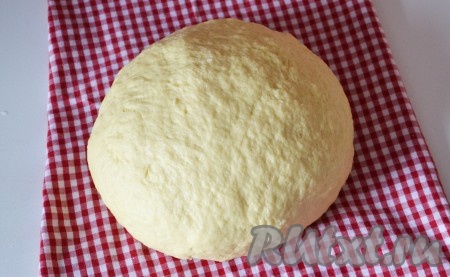 В глубокую миску влить теплое (не горячее!) молоко, всыпать сахар, дрожжи и две столовые ложки муки, перемешать слегка вилкой, накрыть опару влажной салфеткой и оставить на 30 минут в теплом месте для подхода. В отдельной миске взбить подтаявшее сливочное масло с солью и куриными яйцами до однородной массы. Это можно сделать как вручную, так и миксером. Когда опара будет готова (покроется пышной шапочкой), влить в нее масляно-яичную массу, перемешать, частями ввести оставшуюся просеянную муку. Замесить мягкое тесто. Оно не должно прилипать к рукам. Выложить тесто в глубокую миску, накрыть влажной салфеткой и оставить на 1 час. За это время тесто должно вырасти в два раза.