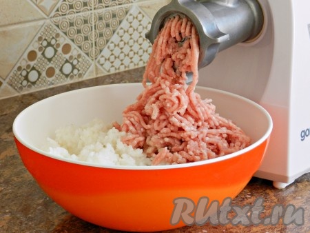 Мякоть свинины пропустить через мясорубку вместе с 1 луковицей.
