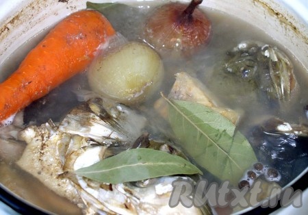 Голову толстолобика вымоем, удалим жабры (не пораньте руки, делайте это осторожно). Даем стечь воде или просушим бумажными полотенцами. Кастрюля потребуется в 1,5-2 раза больше объема воды. Сложим головы, зальем холодной водой. Ждем, когда закипит, и сразу снимаем появляющуюся пену. Закладываем целиком лук в тонком слое шелухи, зонтик укропа и  очищенную целую морковь, можно добавить крупно нарезанный сельдерей, который, как губка, впитывает "осадок" и тем самым осветляет бульон. Уменьшим огонь до минимума и будем варить при самом слабом кипении (без бурления) с открытой крышкой около 4 часов. За час-полчаса до конца варки пробуем на вкус. Солим из расчета 1 чайная ложка соли на литр воды. Добавляем лавровый лист, душистый перец горошком и довариваем еще около 1 часа. Выключаем бульон.