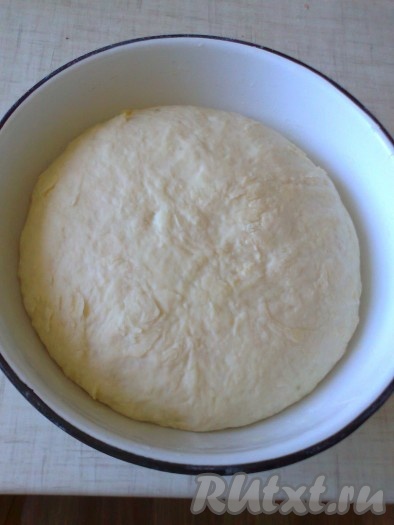  Накрыть миску с тестом пленкой или крышкой. Дать подойти в теплом месте в течение часа. 