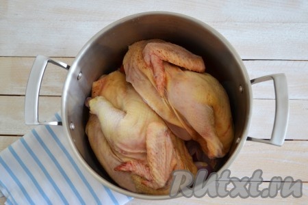 Тушку петуха хорошо вымыть под проточной водой снаружи и внутри. Разрезать на две части и выложить в кастрюлю. Мельче разрезать не стоит, вариться холодцу придется долго, все отлично сварится.
