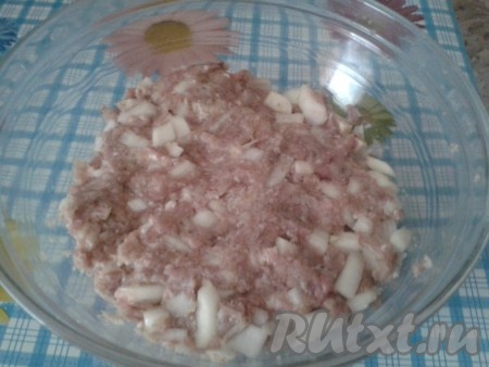 В готовый фарш добавить нарезанный лук и специи (соль, перец, смесь специй для мяса), все хорошо перемешать и оставить минут на 10-15, чтобы настоялся.