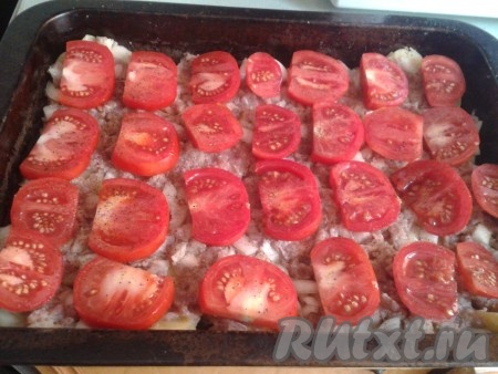 Поверх фарша разложить нарезанные кольцами помидоры, посолить, поперчить.