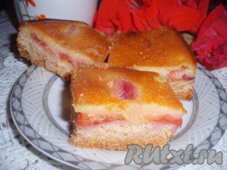 Готовый пирог остудить. Разрезать на порции лучше полностью остывшую выпечку. Пирог со сливами и сметанной заливкой получается нежнейшим и очень вкусным.
