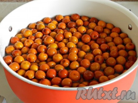 Приготовить сироп. Для этого воду нагреть с сахаром и лимонной кислотой до кипения, проварить на небольшом огне, помешивая, пока весь сахар не растворится, снять с огня. Высыпать ягоды зизифуса в горячий сироп и оставить на 12 часов (на ночь).
