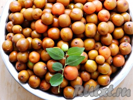 Зизифус перебрать, промыть, удалить веточки.