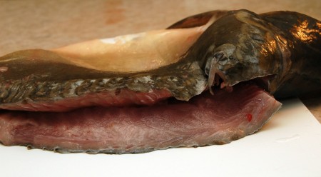 А теперь займемся карпом. Придется немного повозиться, но оно того стоит. Сначала вытащим жабры и глаза. Через отверстие от жабр будем потихонечку вытаскивать внутренности. Затем острым ножом аккуратно сделаем надрез вдоль верхних плавников, чтобы вытащить хребтовую кость свместе с реберными костями.