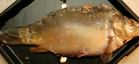 Зашитого карпа укладываем на противень, политый растительным маслом.