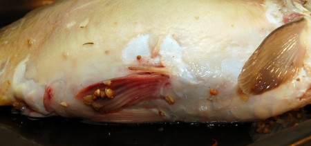 Вот так смотрятся обе его стороны. Со стороны брюшка.