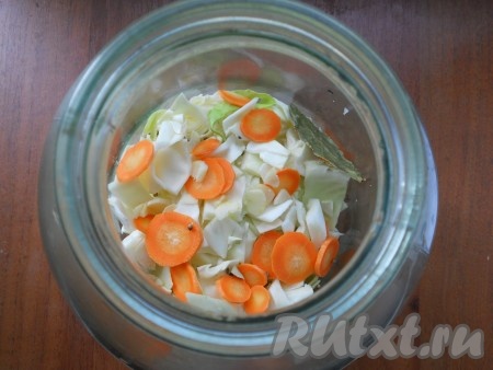 Капусту нарезать кусочками (шашечками), морковь нарезать тонкими кружочками. Выкладывать капусту в чистую сухую 3-литровую банку, пересыпая ее кружками моркови, кориандром, нарезанным чесноком и лавровым листом.