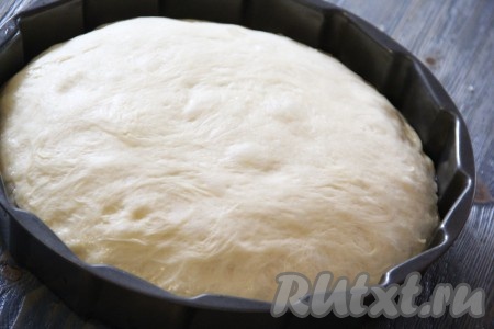 Вторую часть дрожжевого теста раскатать в круг и выложить поверх начинки. Скрепить края теста (я примяла края теста пальцами). Оставить дрожжевой пирог с творогом и абрикосами на 30 минут в тёплом месте. Прикрыть пирог полотенцем.