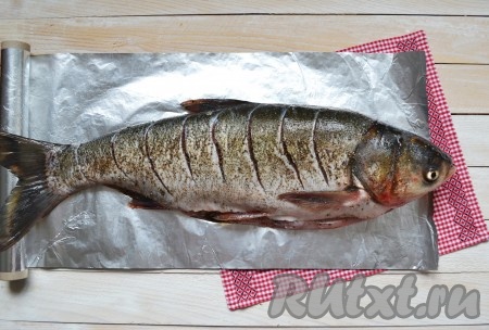 Толстолобика очистить от чешуи, удалить внутренности, жабры. Хорошо вымыть, особенно внутри - брюшко должно быть чистым, светлым, без черной пленочки. Сверху сделать глубокие надрезы на расстоянии 3-4 см.
